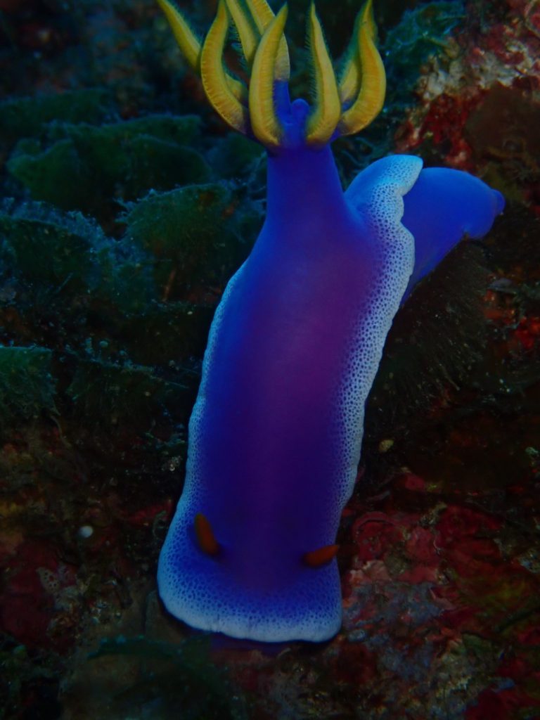 この画像には alt 属性が指定されておらず、ファイル名は 辺戸_191129_0023-768x1024.jpg です