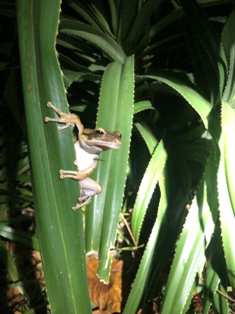 この画像には alt 属性が指定されておらず、ファイル名は S__83083268-768x1024.jpg です