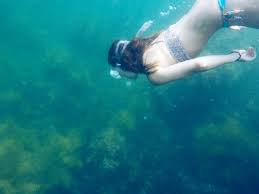 スキンダイビング