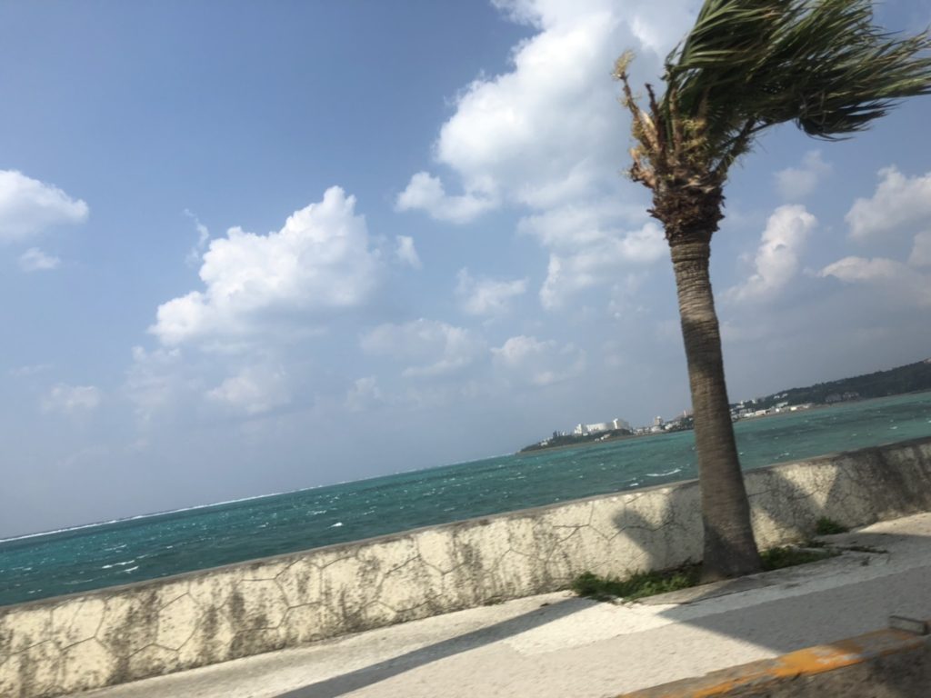 遊び放題の違い